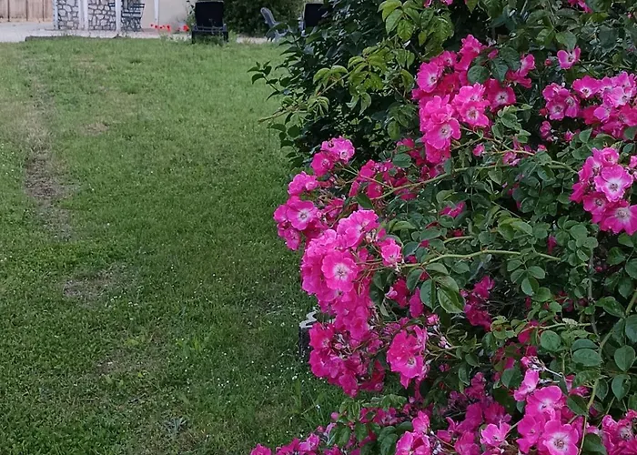 Maison 6 Couchages Avec Jardin Au Coeur Des Chateaux De La Loire